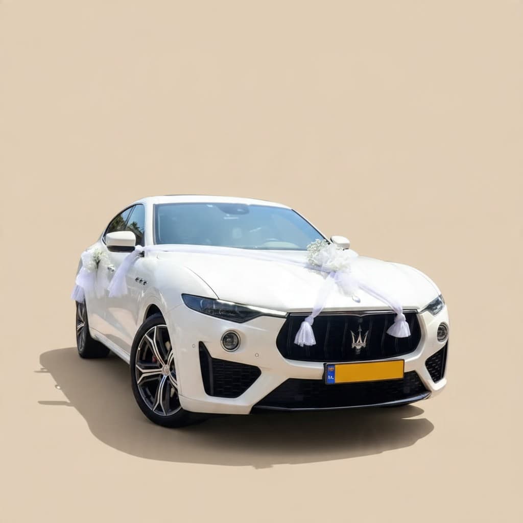 קישוט רכב לחתונה בצורת X
