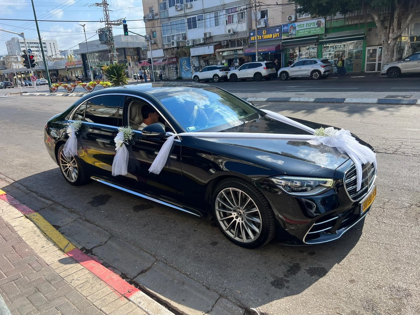 קישוט רכב פפיונים וגיבסניות