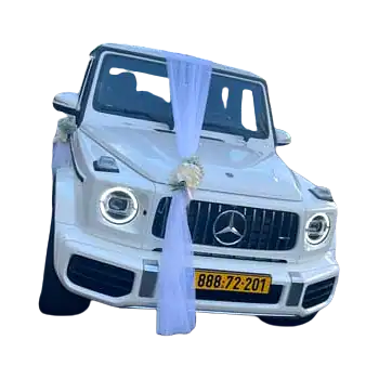קישוט רכב סטנדרטי